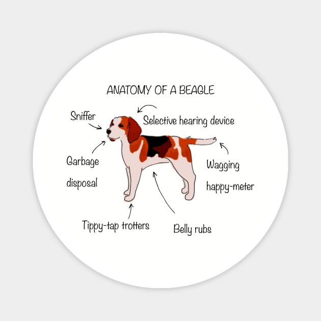 Anatomy of a beagle Magnet by bumblebeebuiscut